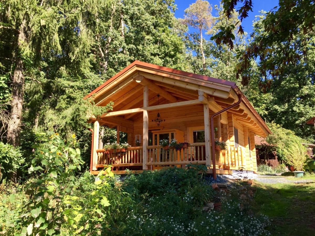 Blockhaus Chalet Mit Beheizbarem Badefass Und Infrarotsauna Auf Der Terrasse Oberschützen Екстериор снимка